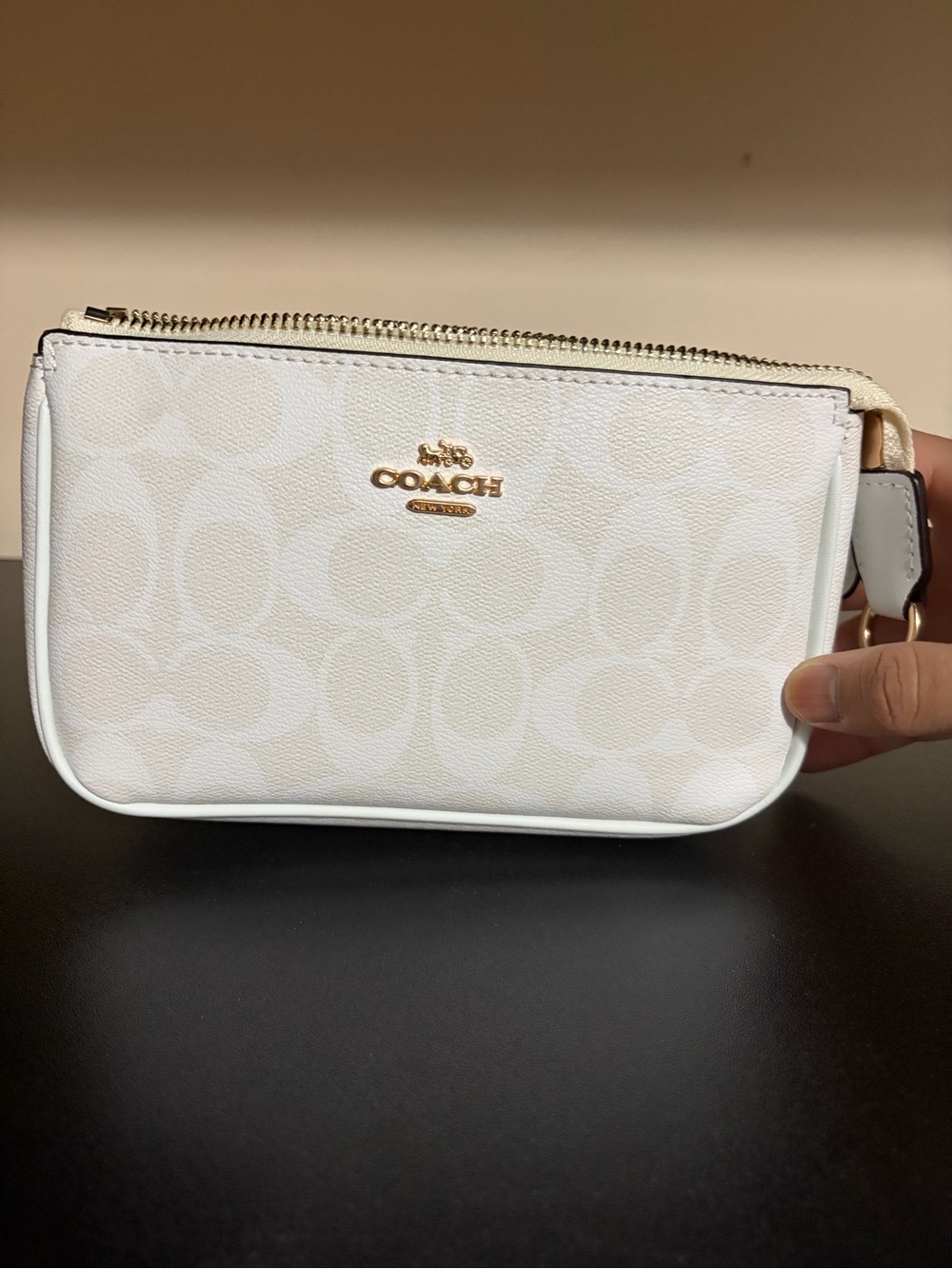 Coach Nolita 19